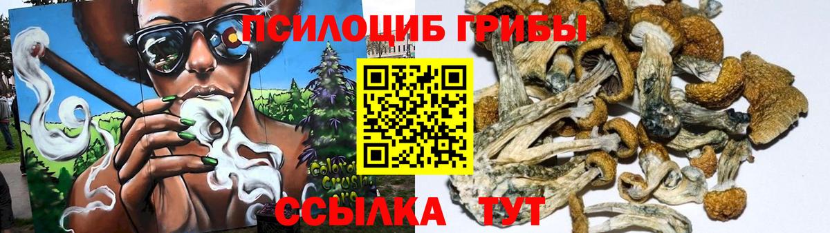 Псилоцибиновые грибы ЛСД  Вход с VPN  Галлюциногенные грибы MAGIC MUSHROOMS  Благодарный 