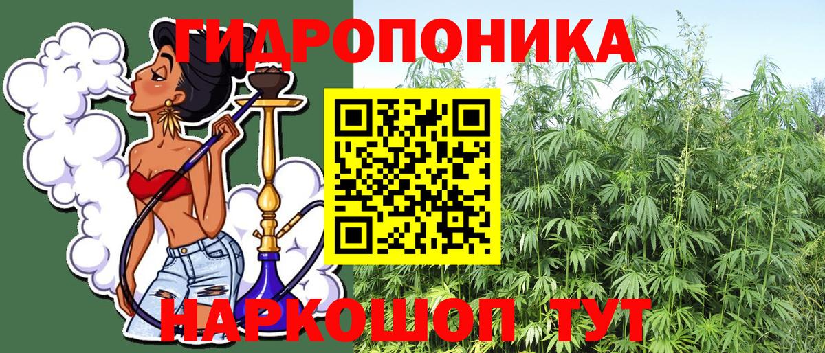 Бошки марихуана Amnesia  Вход с VPN  Марихуана семена  Благодарный  Марихуана планчик  Конопля конопля 